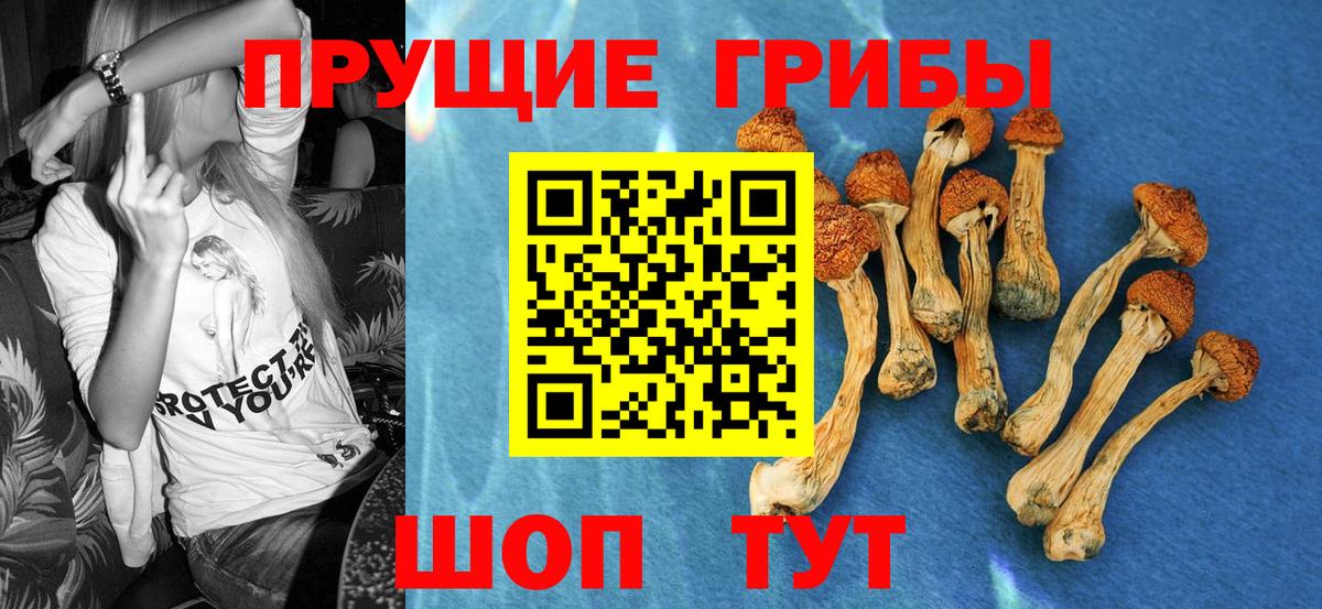 Галлюциногенные грибы мицелий Комсомольск-на-Амуре