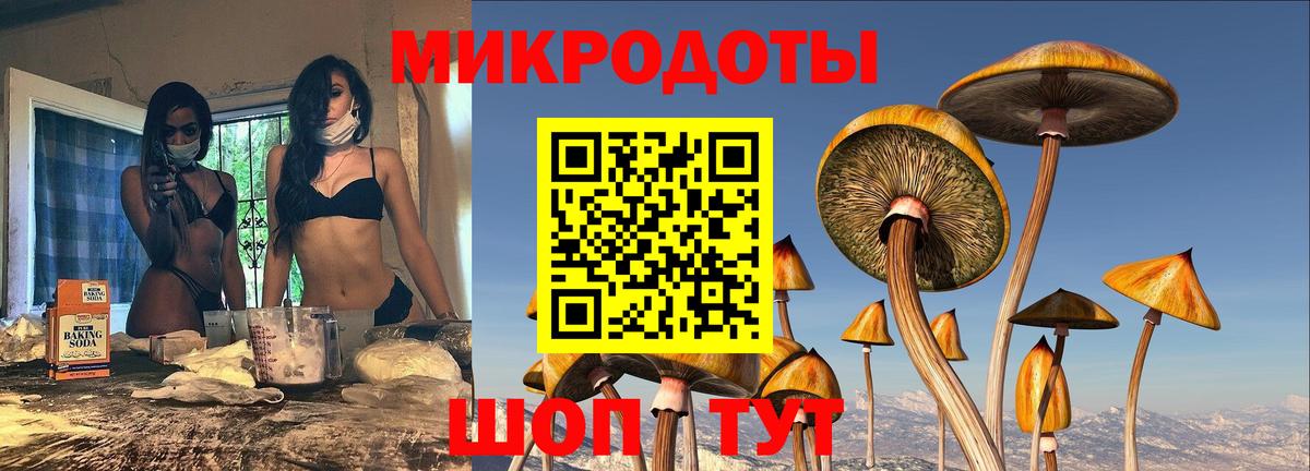 Псилоцибиновые грибы Psilocybe  Вход с VPN  Галлюциногенные грибы прущие грибы  Комсомольск-на-Амуре 